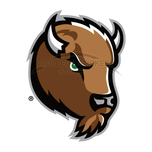 Design Marshall Thundering Herd Iron-on Transfers (Wall Stickers)NO.4977